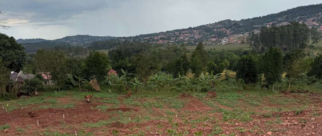 omukisa real estate land 1